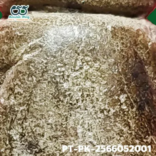 100 倍放大 — 龍婆橋佛牌 立體圓雕 藥草料 瓦格瓦寺 春武里府 佛曆 2400