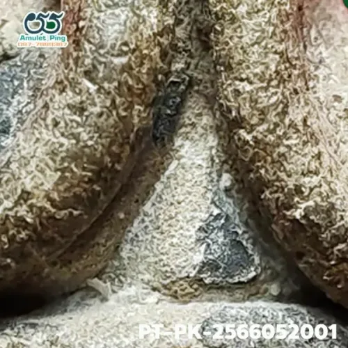 100 倍放大 — 龍婆橋佛牌 立體圓雕 藥草料 瓦格瓦寺 春武里府 佛曆 2400