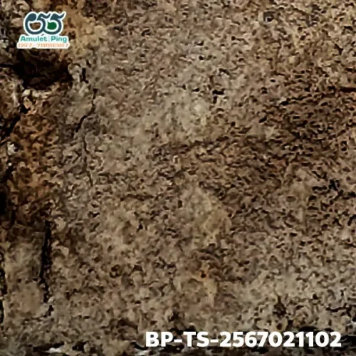 100× magnification — Somdej Toh amulet, Than Saem, Sacred powder (Phong), Wat