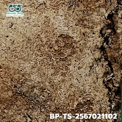 100× magnification — Somdej Toh amulet, Than Saem, Sacred powder (Phong), Wat