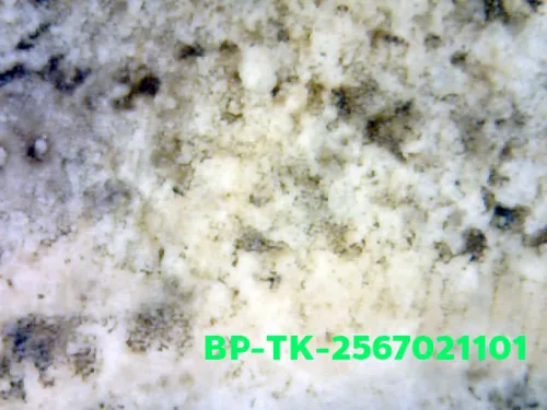 1000× magnification — Somdej Toh amulet, Than Saem, Sacred powder (Phong), Wat