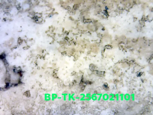 1000× magnification — Somdej Toh amulet, Than Saem, Sacred powder (Phong), Wat