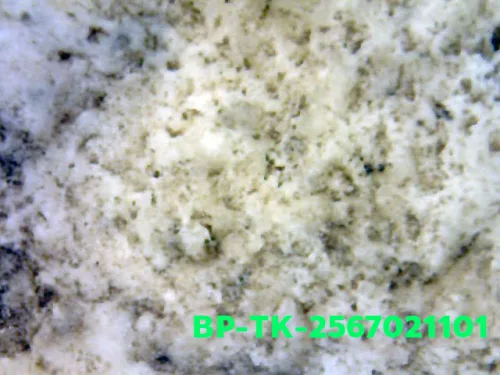 1000× magnification — Somdej Toh amulet, Than Saem, Sacred powder (Phong), Wat
