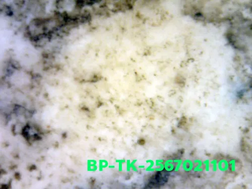 1000× magnification — Somdej Toh amulet, Than Saem, Sacred powder (Phong), Wat