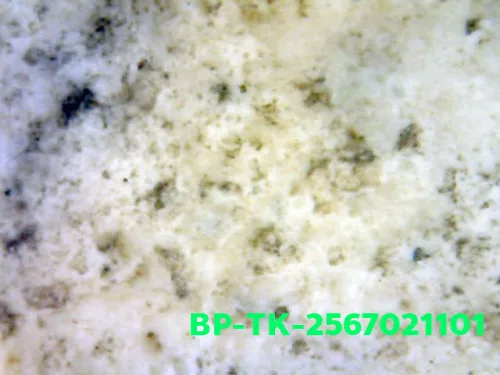 1000× magnification — Somdej Toh amulet, Than Saem, Sacred powder (Phong), Wat