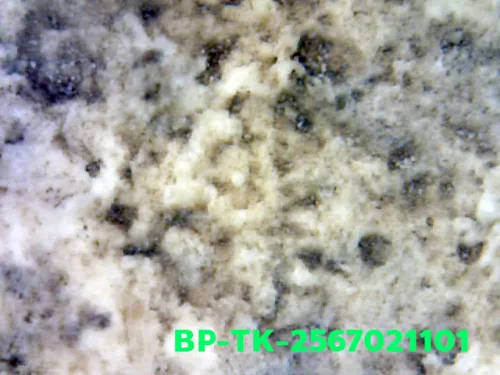 1000× magnification — Somdej Toh amulet, Than Saem, Sacred powder (Phong), Wat