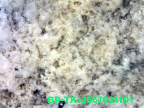 1000× magnification — Somdej Toh amulet, Than Saem, Sacred powder (Phong), Wat