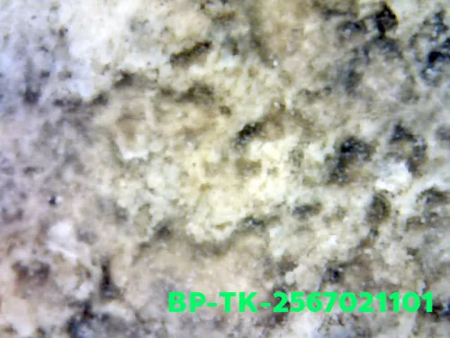 1000× magnification — Somdej Toh amulet, Than Saem, Sacred powder (Phong), Wat
