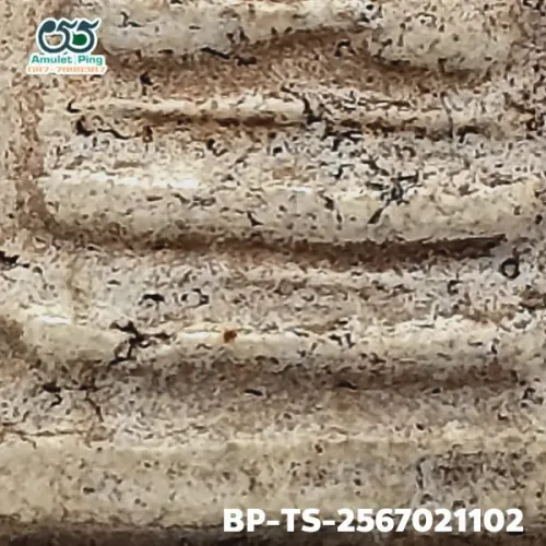 100× magnification — Somdej Toh amulet, Than Saem, Sacred powder (Phong), Wat