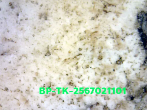 1000× magnification — Somdej Toh amulet, Than Saem, Sacred powder (Phong), Wat