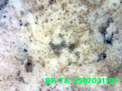 1000× magnification — Somdej Toh amulet, Than Saem, Sacred powder (Phong), Wat