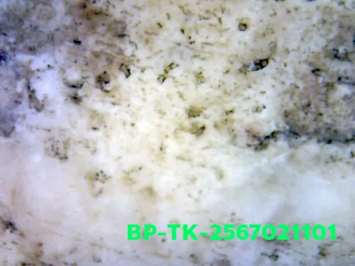 1000× magnification — Somdej Toh amulet, Than Saem, Sacred powder (Phong), Wat