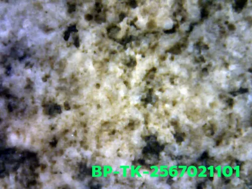 1000× magnification — Somdej Toh amulet, double base, Sacred powder (Phong), Wat
