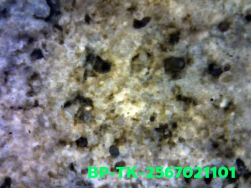 1000× magnification — Somdej Toh amulet, double base, Sacred powder (Phong), Wat