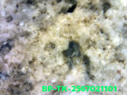 1000× magnification — Somdej Toh amulet, double base, Sacred powder (Phong), Wat