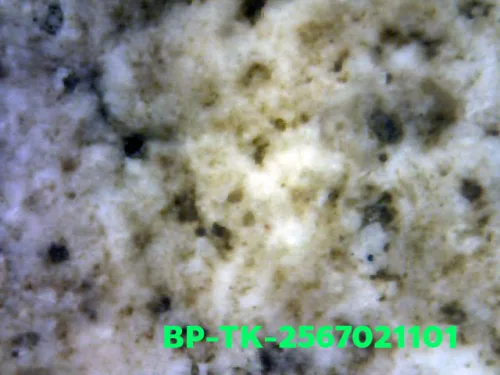 1000× magnification — Somdej Toh amulet, double base, Sacred powder (Phong), Wat