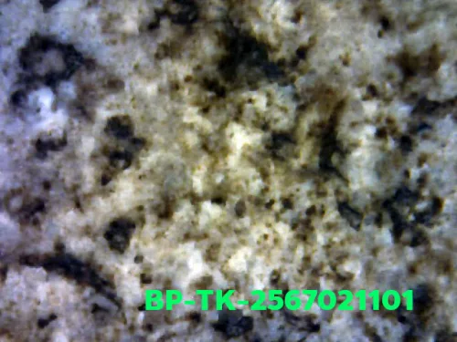 1000× magnification — Somdej Toh amulet, double base, Sacred powder (Phong), Wat