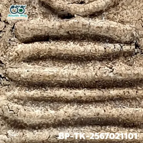 100× magnification — Somdej Toh amulet, double base, Sacred powder (Phong), Wat