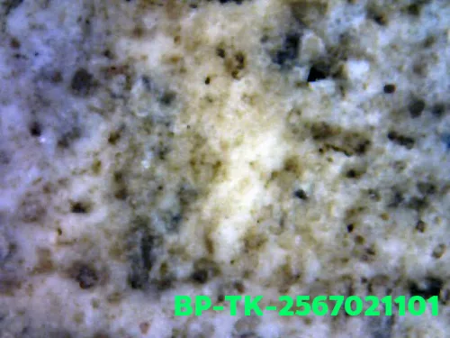 1000× magnification — Somdej Toh amulet, double base, Sacred powder (Phong), Wat