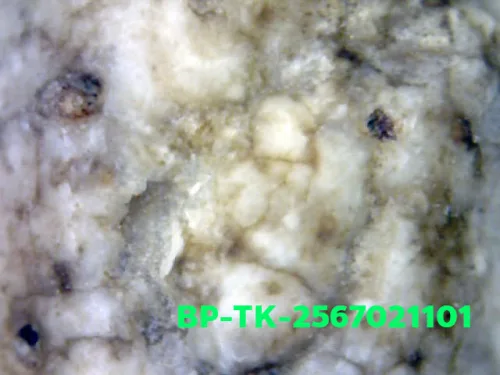 1000× magnification — Somdej Toh amulet, double base, Sacred powder (Phong), Wat