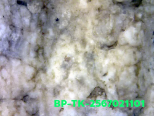 1000× magnification — Somdej Toh amulet, double base, Sacred powder (Phong), Wat