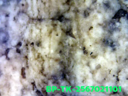 1000× magnification — Somdej Toh amulet, double base, Sacred powder (Phong), Wat