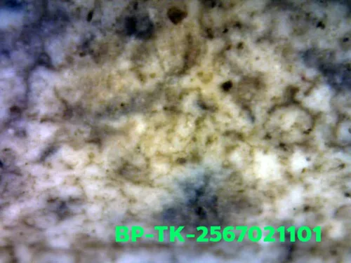 1000× magnification — Somdej Toh amulet, double base, Sacred powder (Phong), Wat