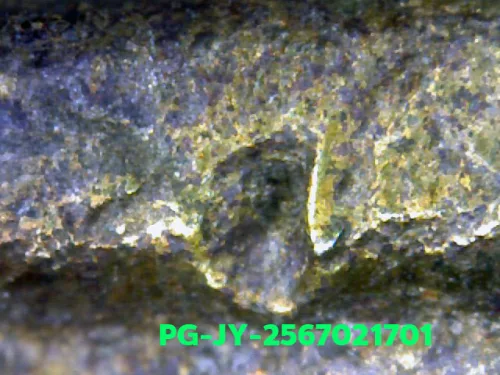 1000 倍放大 — 龍婆銀銅牌 大鋤形 合金 瓦邦干寺 披集府 佛曆 2462
