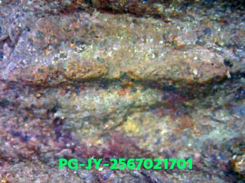 1000 倍放大 — 龍婆銀銅牌 大鋤形 合金 瓦邦干寺 披集府 佛曆 2462