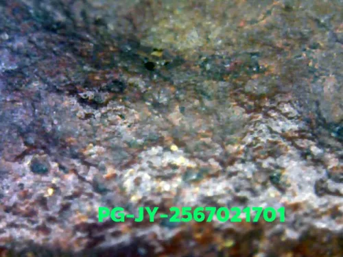 1000 倍放大 — 龍婆銀銅牌 大鋤形 合金 瓦邦干寺 披集府 佛曆 2462