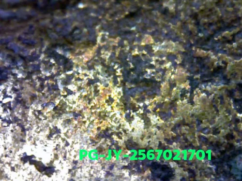 1000 倍放大 — 龍婆銀銅牌 大鋤形 合金 瓦邦干寺 披集府 佛曆 2462