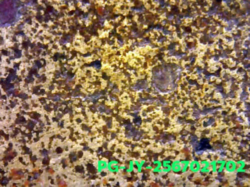 1000× magnification — Luang Phor Ngern coin, Job Yai (large hoe), Mixed alloy