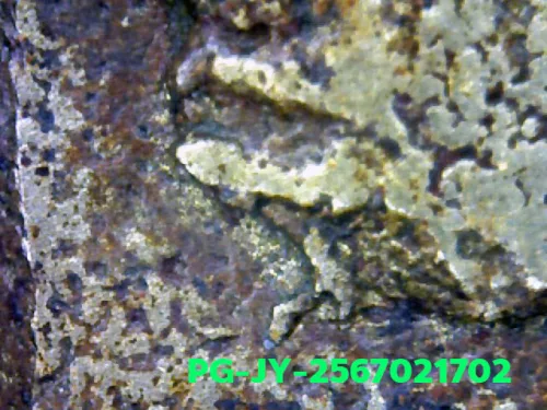 1000× magnification — Luang Phor Ngern coin, Job Yai (large hoe), Mixed alloy
