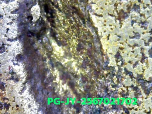 1000× magnification — Luang Phor Ngern coin, Job Yai (large hoe), Mixed alloy