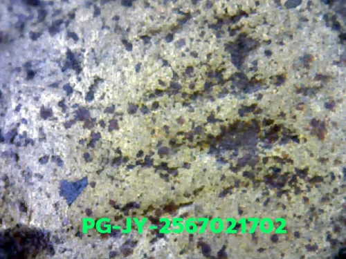 1000× magnification — Luang Phor Ngern coin, Job Yai (large hoe), Mixed alloy