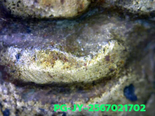 1000× magnification — Luang Phor Ngern coin, Job Yai (large hoe), Mixed alloy