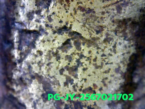 1000× magnification — Luang Phor Ngern coin, Job Yai (large hoe), Mixed alloy