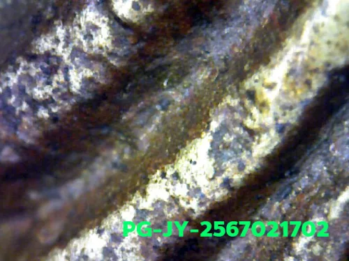 1000× magnification — Luang Phor Ngern coin, Job Yai (large hoe), Mixed alloy