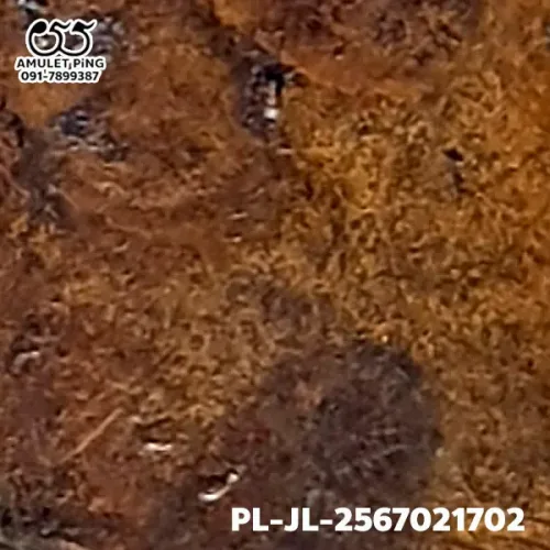 100 倍放大 — 龍婆銀銅牌 小鋤形 直腿 合金 瓦邦干寺 披集府 佛曆 2462