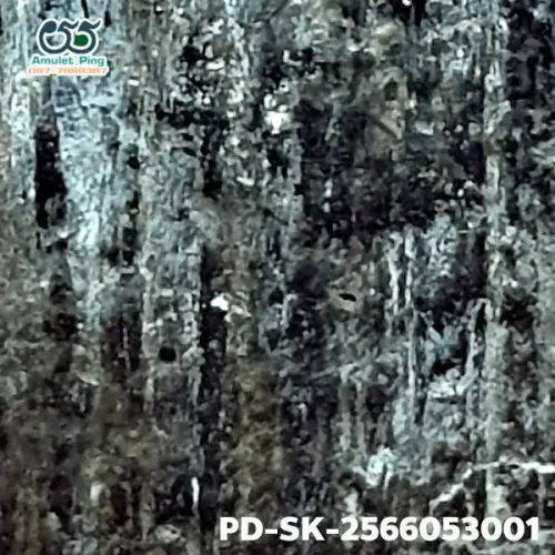 100 倍放大 — 素可泰立泰王佛牌 大模 無卡諾紋 燒製泥料 甘烹碧出土 甘烹碧府 佛曆 1900