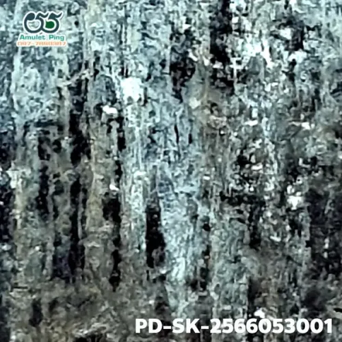100 倍放大 — 素可泰立泰王佛牌 大模 無卡諾紋 燒製泥料 甘烹碧出土 甘烹碧府 佛曆 1900