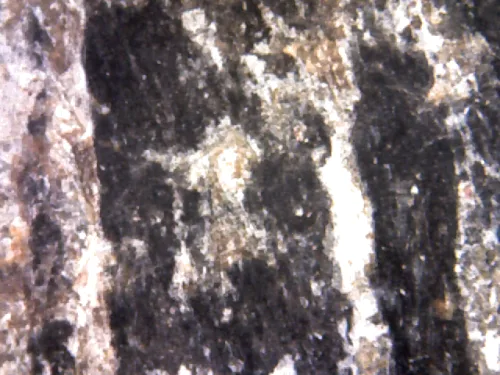 1000 倍放大 — 素可泰立泰王佛牌 大模 無卡諾紋 燒製泥料 甘烹碧出土 甘烹碧府 佛曆 1900