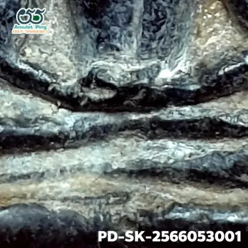 100 倍放大 — 素可泰立泰王佛牌 大模 無卡諾紋 燒製泥料 甘烹碧出土 甘烹碧府 佛曆 1900