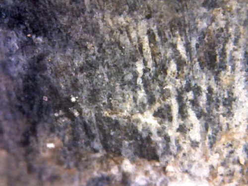 1000 倍放大 — 素可泰立泰王佛牌 大模 無卡諾紋 燒製泥料 甘烹碧出土 甘烹碧府 佛曆 1900