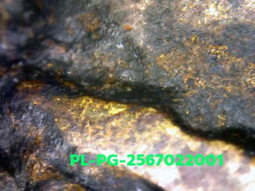 1000× magnification — Luang Phor Ngern statuette, Phim Niyom 4-Chai hand under