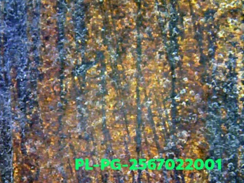 1000× magnification — Luang Phor Ngern statuette, Phim Niyom 4-Chai hand under