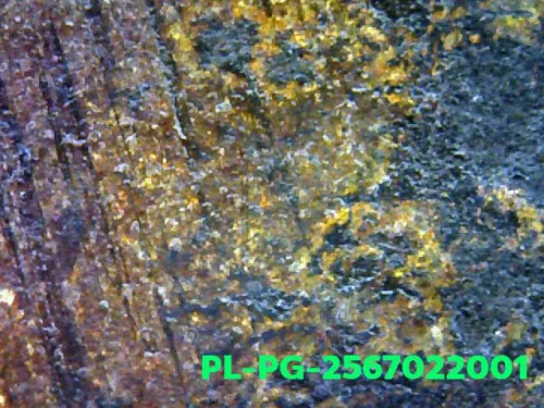 1000× magnification — Luang Phor Ngern statuette, Phim Niyom 4-Chai hand under