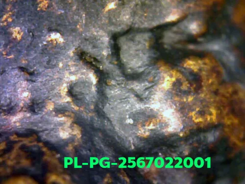 1000× magnification — Luang Phor Ngern statuette, Phim Niyom 4-Chai hand under