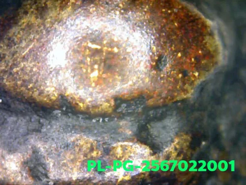 1000× magnification — Luang Phor Ngern statuette, Phim Niyom 4-Chai hand under