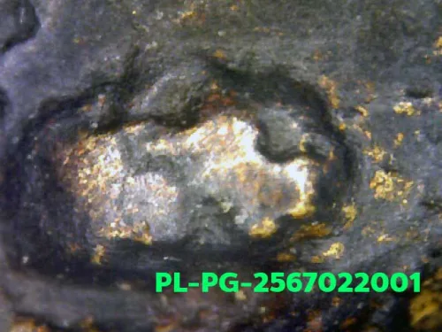 1000× magnification — Luang Phor Ngern statuette, Phim Niyom 4-Chai hand under